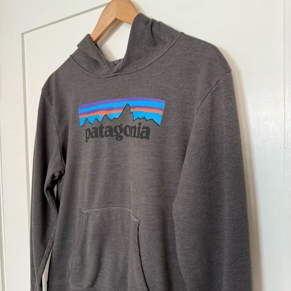 Patagonia Kids Youth Hoodie Sweatshirt Size XXL Gray Graphic Print Logo Outdoor - Picture 2 of 13